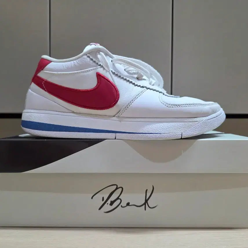 [BUNJANG] Nike Book 1 "Forrest Gump" EP / [270] 나이키 북 1 EP 포레스트 검프