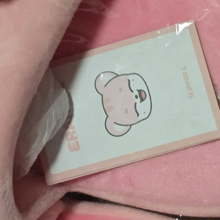 [BUNJANG] LeeRangi Character Slippers - Size L / 이랑이 슬리퍼  사이즈는 L