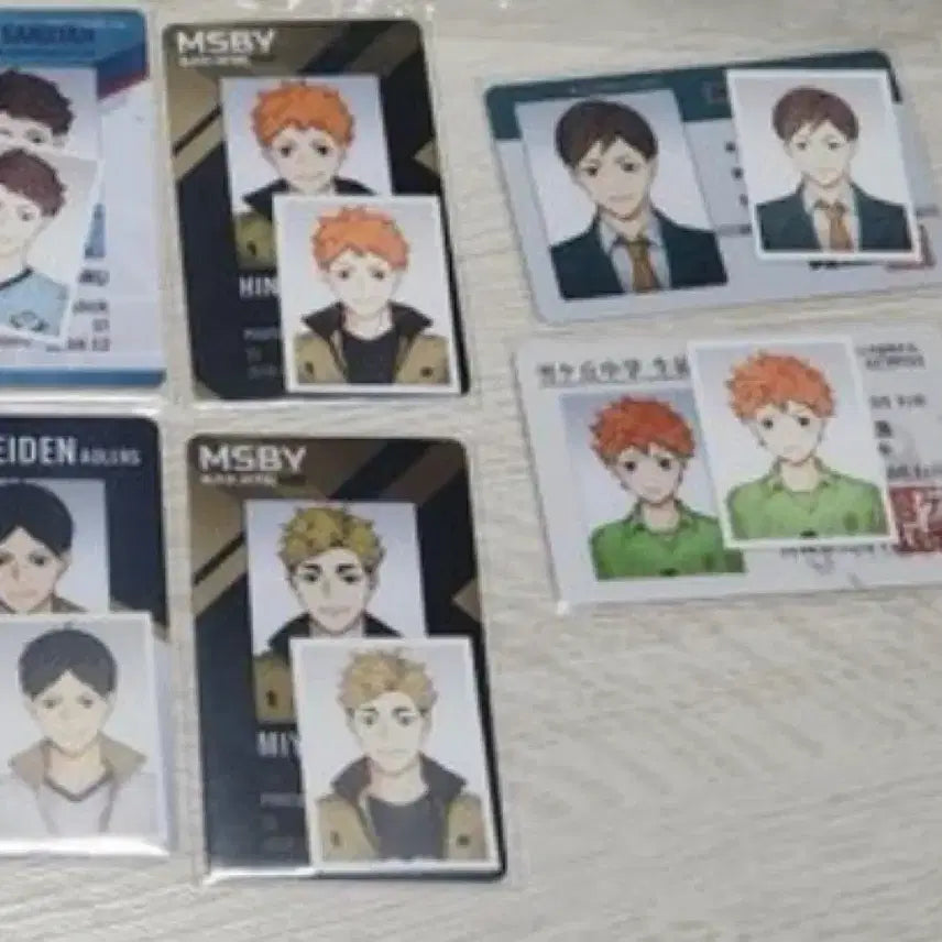 [BUNJANG] Haikyuu!! Student ID &amp; Team ID Bundle Set / 리무무님 하이큐 학생증 구단증 일괄