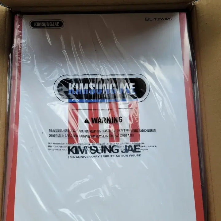 [BUNJANG] Kim Sung-jae 25th Anniversary Action Figure / 김성재 피규어