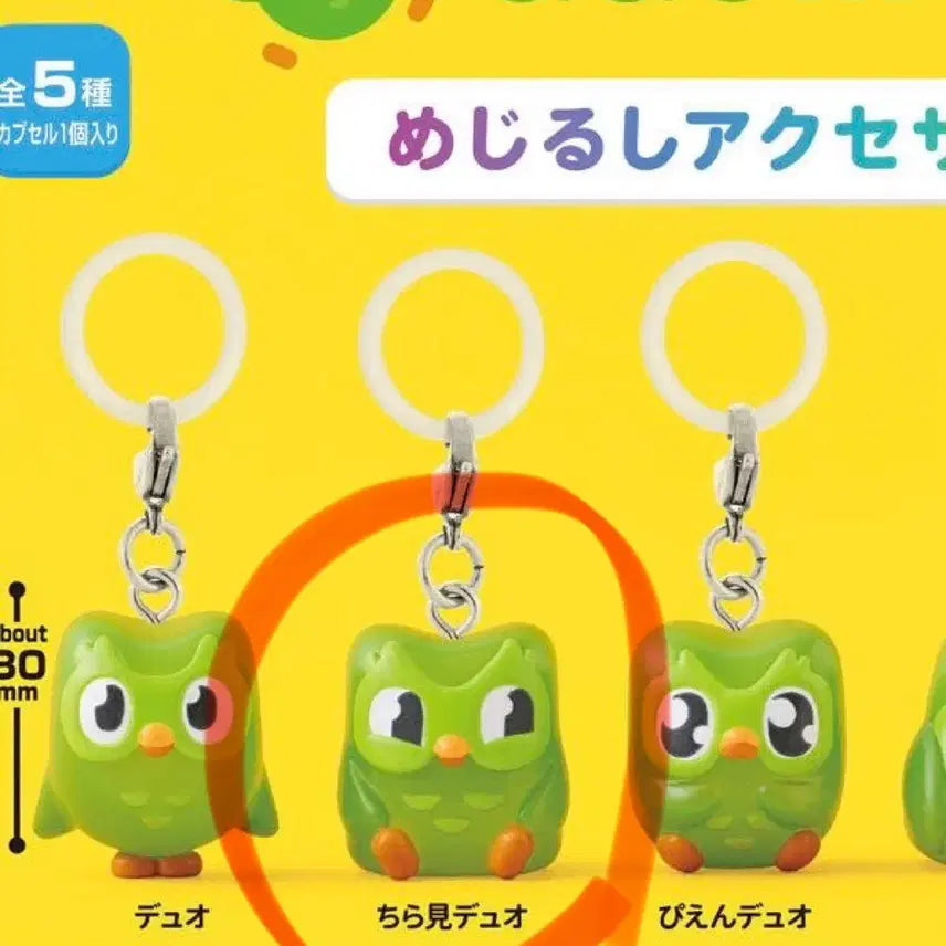 [BUNJANG] Duolingo Mezurushi Gacha Sealed / 듀오링고 메지루시 가챠