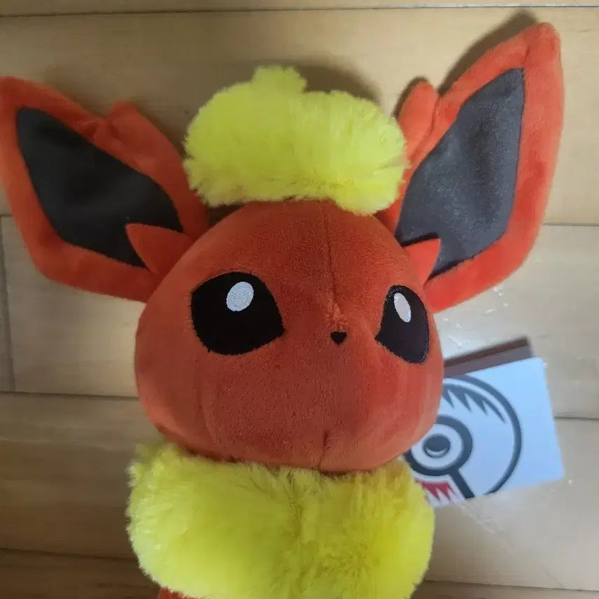 [BUNJANG] Pokemon Dolls Booster Medium Plush / 포켓몬 돌즈 인형 중형 부스터