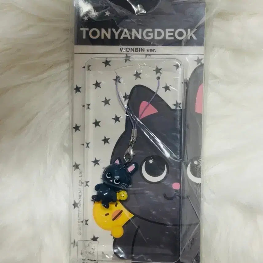 [BUNJANG] RIIZE ARCHIVE Resin Keyring (Sealed) / 세트)라이즈 팝업 ARCHIIVE 레진 키링 토냥덕 양도