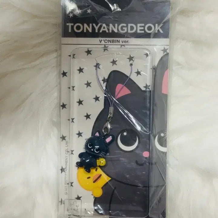 [BUNJANG] RIIZE ARCHIVE Resin Keyring (Sealed) / 세트)라이즈 팝업 ARCHIIVE 레진 키링 토냥덕 양도