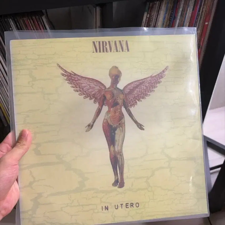 [BUNJANG] Nirvana In Utero 2003 UK Pressing LP / 너바나 - In Utero (2003년 영국반)