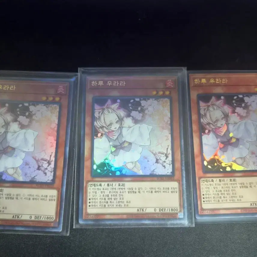 [BUNJANG] HARI URARA Ultra Rare 3 Cards / 판매) 하루 우라라 울레 3장