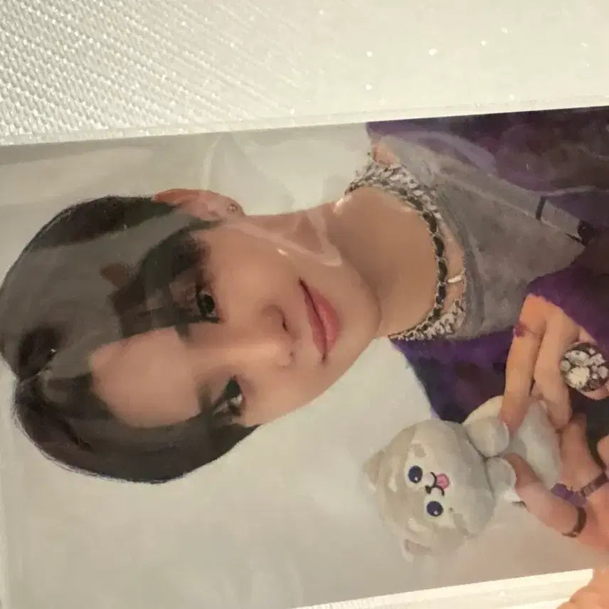 [BUNJANG] TREASURE Jihoon Puppy Photocard / 트레저 퍼니 지훈 멍멍 포카포함