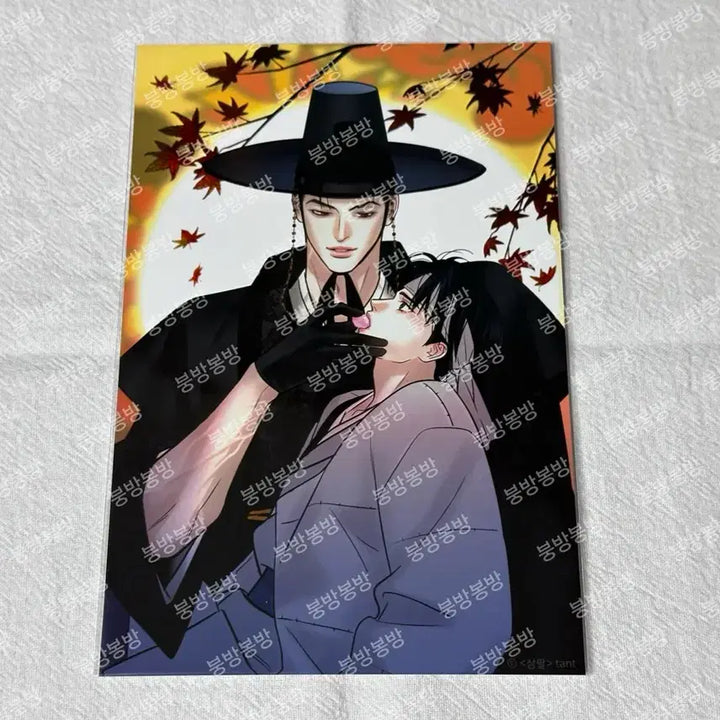 [BUNJANG] Sampar Munkyung Hongju Photobook Bundle Set / [일괄] 삼팔 프박 무경 홍주