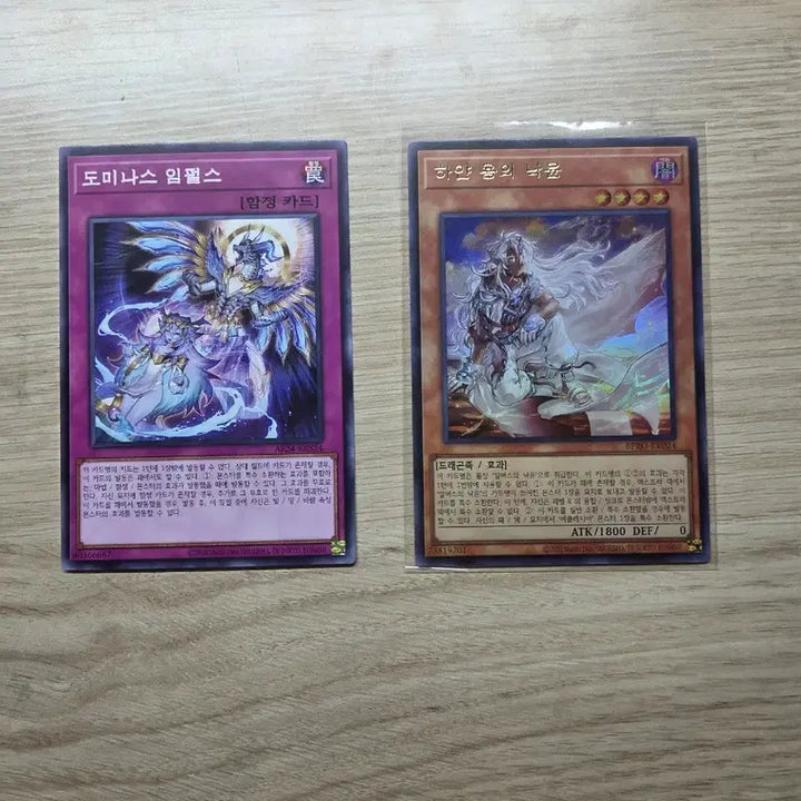 [BUNJANG] Dominas Impulse White Dragon&