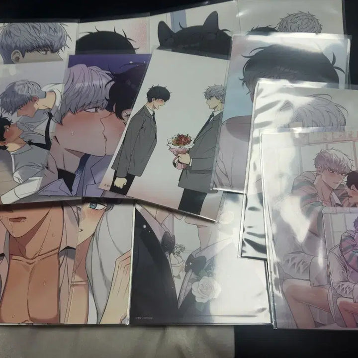 [BUNJANG] Winter Passing Cherry Blossom Photocard Set / 겨울지나벚꽃 콜카 엽서 특전엽서 포토카드 포함