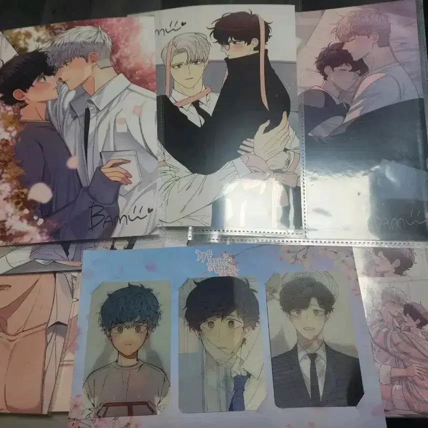 [BUNJANG] Winter Passing Cherry Blossom Photocard Set / 겨울지나벚꽃 콜카 엽서 특전엽서 포토카드 포함