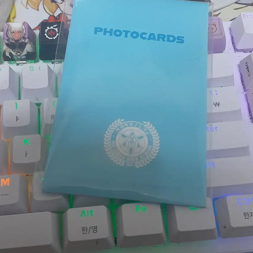 [BUNJANG] Cha Se-dol Photocard Set (Unsealed) / 차세돌 포토카드 세트 팝니다. (단순 개봉)