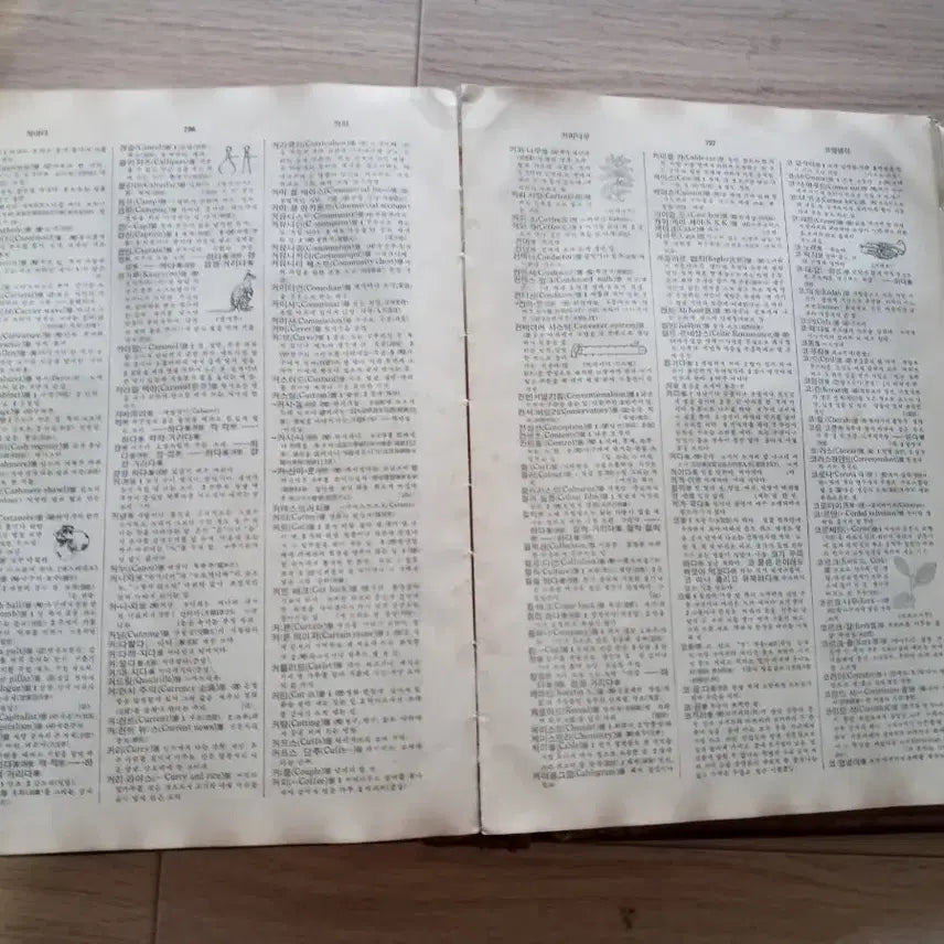 [BUNJANG] 1958 Korean Dictionary / 반티지 - 1958년 발간 국어대사전