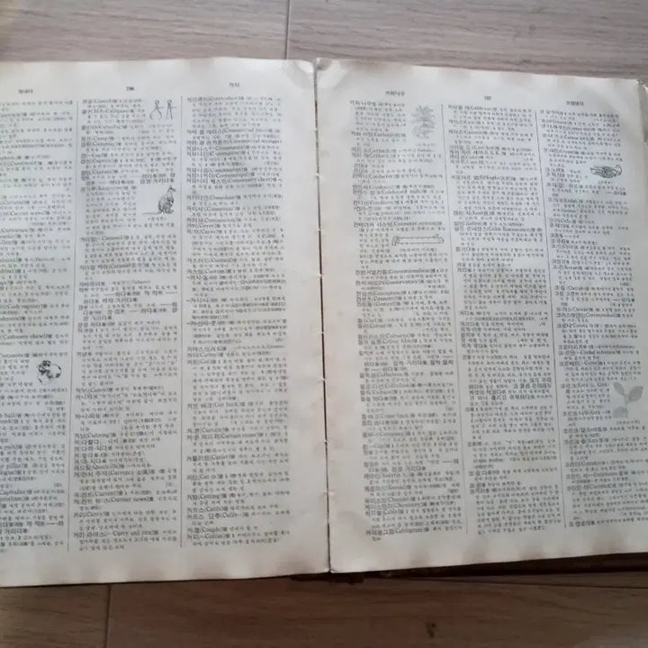 [BUNJANG] 1958 Korean Dictionary / 반티지 - 1958년 발간 국어대사전