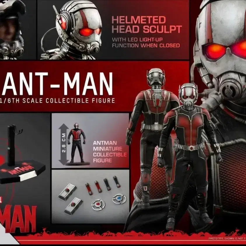 [BUNJANG] Hot Toys Ant-Man MMS308 1/6 Scale Figure / 핫토이 앤트맨 MMS308 개봉 피규어 팝니다