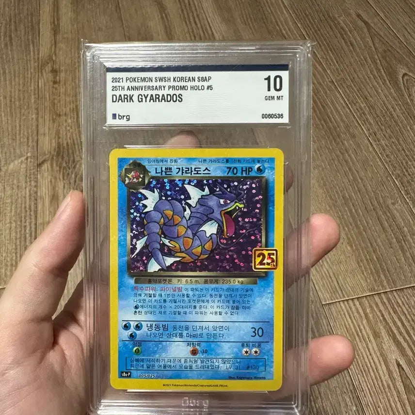 [BUNJANG] Dark Gyarados BRG10 / 다크 갸라도스 brg10 팝니다
