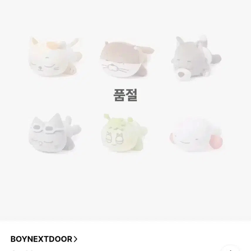 [SOLD OUT] 쁘넥도 한탯풍 몸통쿠션 보이넥스트도어 태산