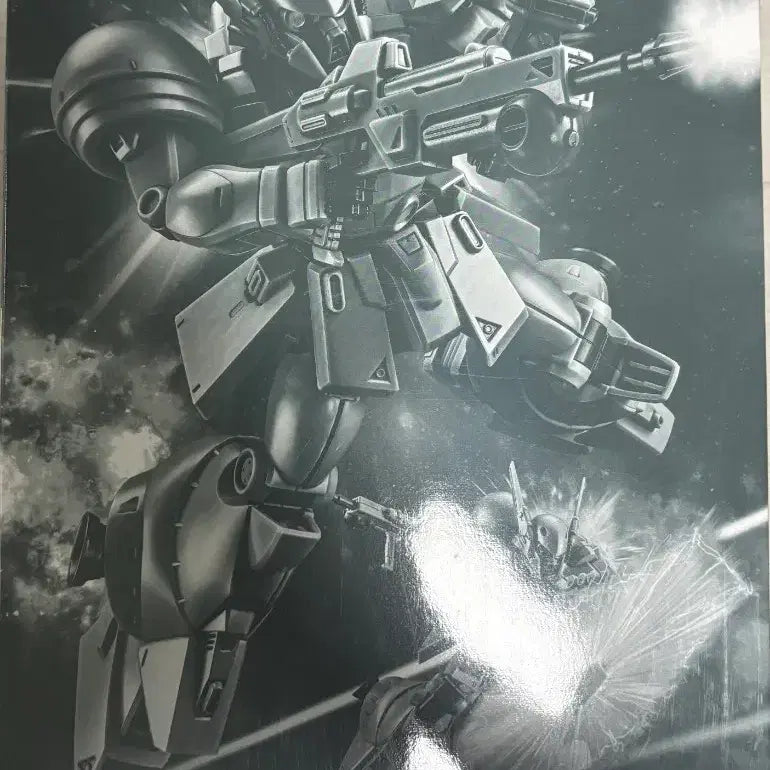 [BUNJANG] RE/100 Denan Ge Model Kit / re/100 데난 게