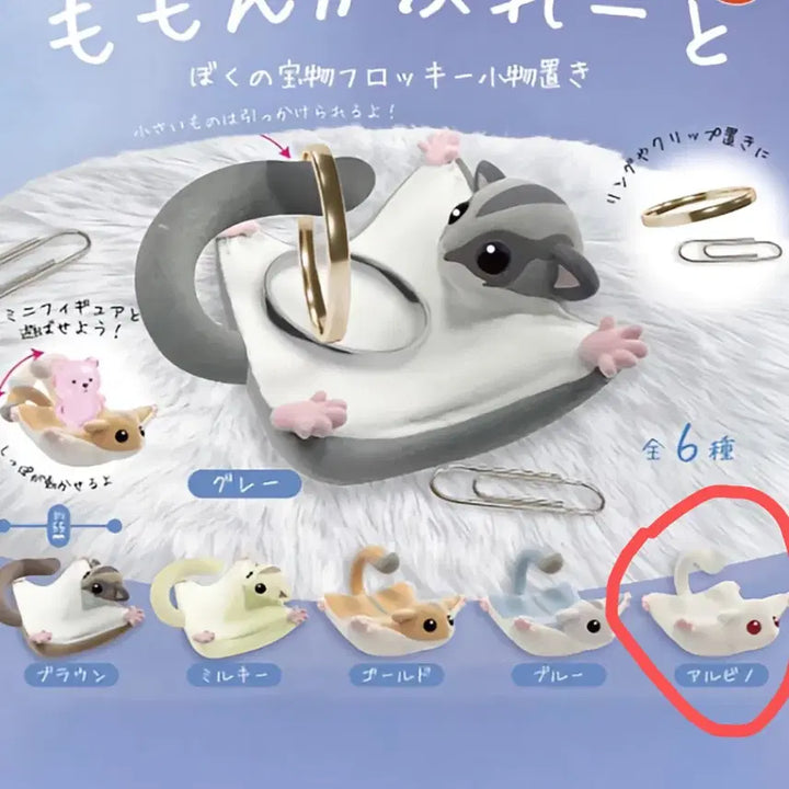 [BUNJANG] Albino Flying Squirrel Gacha Ring Holder / 날다람쥐 플레이트 - 알비노 가챠 반지 거치대