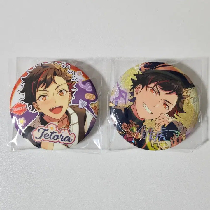 [BUNJANG] Ensemble Stars Tetsora Chinese Limited Scout Can Badge / 앙스타 테토라 중스타 중국 한정 스카우트 캔뱃지 뱃지