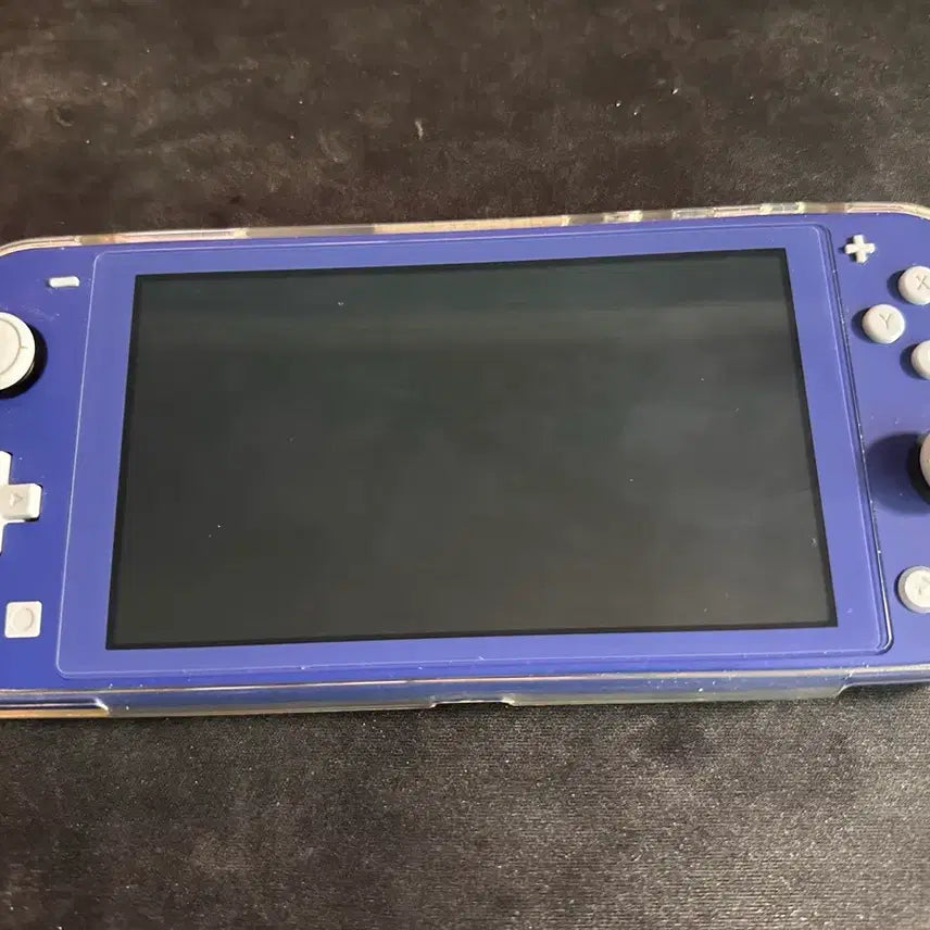 [BUNJANG] Nintendo Switch Lite (Blue) with Clear Case and Screen Protector / 닌텐도 스위치 라이트 블루 + 투명 케이스 + 강화필름 부착됨
