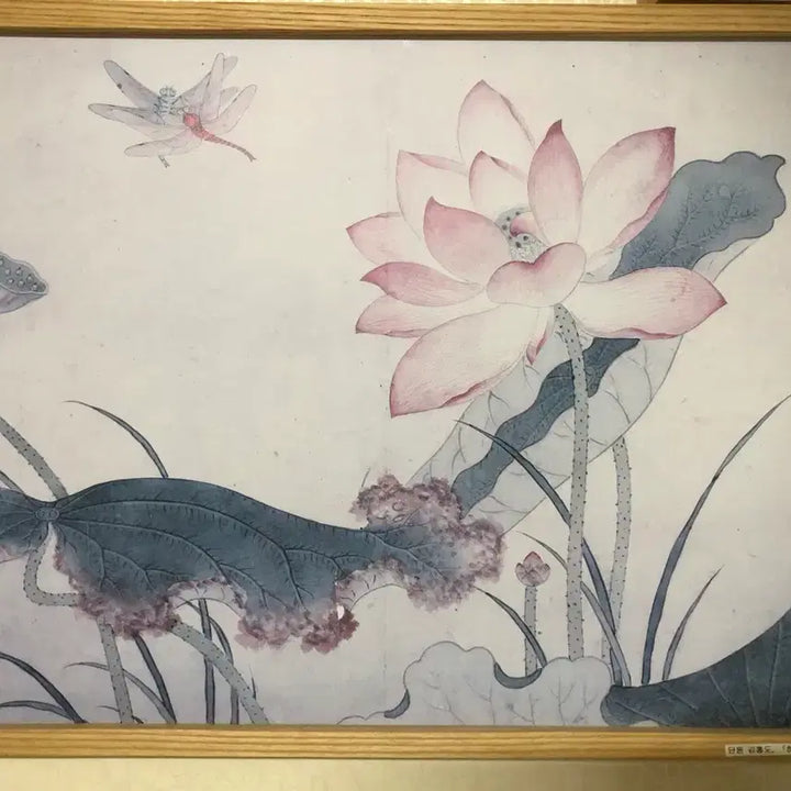 [BUNJANG] Lotus and Dragonfly Scroll Painting / 연꽃 그림 족자