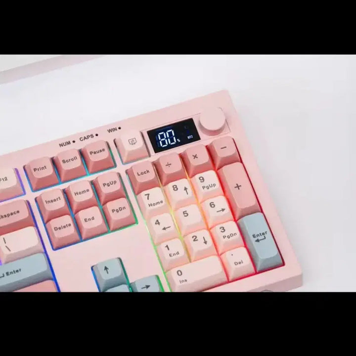 [BUNJANG] AULA S102 Pro Spider Membrane Pink Keyboard / AULA S102 PRO 독거미 멤브레인 핑크 키보드