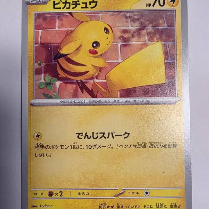 [BUNJANG] Pokemon Card Japanese Pikachu / 포켓몬카드 일판 피카츄