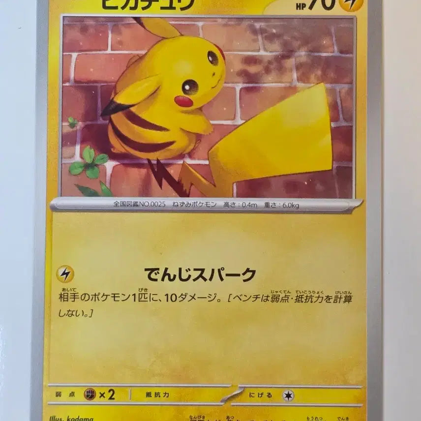 [BUNJANG] Pokemon Card Japanese Pikachu / 포켓몬카드 일판 피카츄