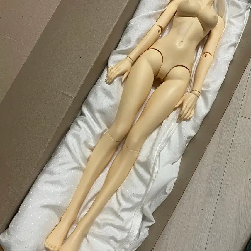 [BUNJANG] Kanalcode SQLAB DG61 Normal Body Ball-Jointed Doll / 구체관절인형 카날코드 sqlab dg61 구관노멀 바디 판매합니다