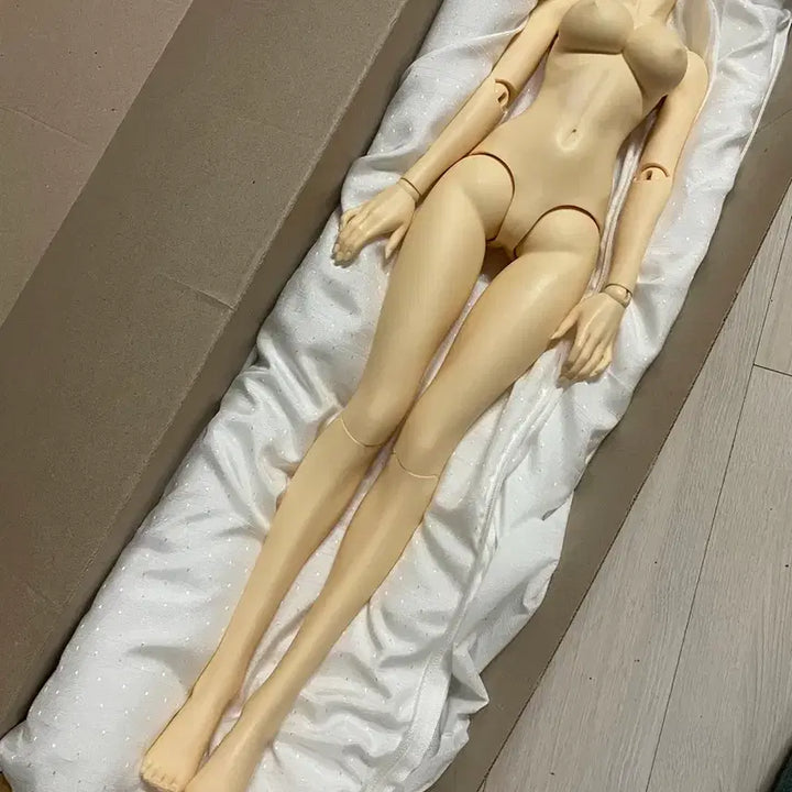 [BUNJANG] Kanalcode SQLAB DG61 Normal Body Ball-Jointed Doll / 구체관절인형 카날코드 sqlab dg61 구관노멀 바디 판매합니다