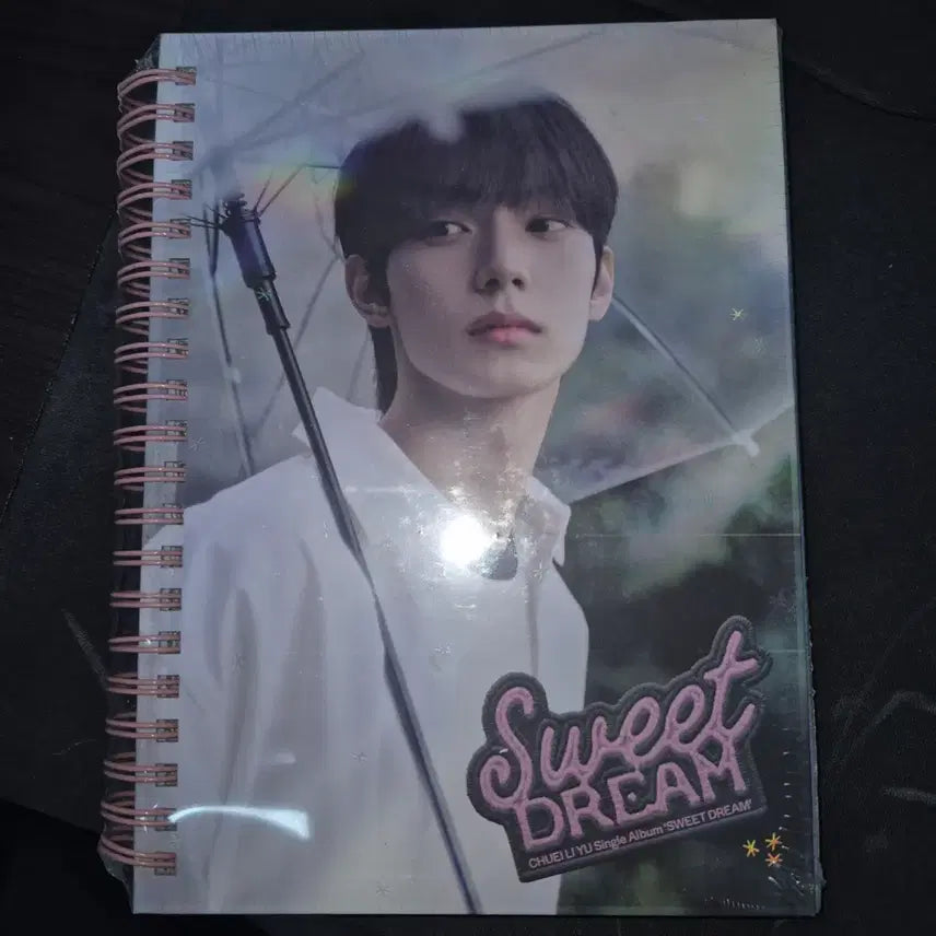 [BUNJANG] Choi Liryu Liryu Bopel Flare U Sealed Album / 최립우 립우 보플 플레어유 미개봉 앨범