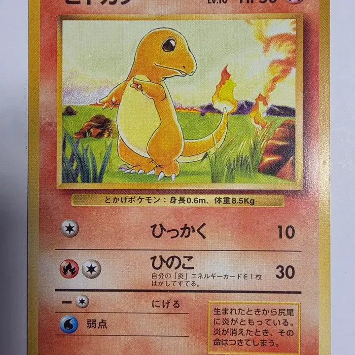 [BUNJANG] Pokemon Card Charmander (1996) / 포켓몬카드 1996 초기 파이리