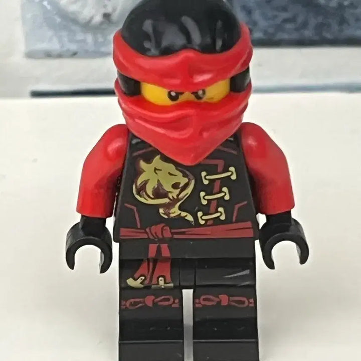 [BUNJANG] LEGO Ninjago Sky Pirate Kai / 레고 닌자고 스카이해적 카이