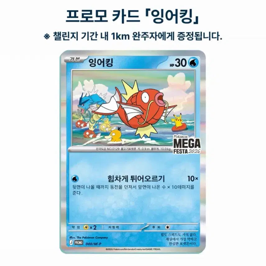[BUNJANG] Pokemon Magikarp Promo Card / 포켓몬 잉어킹 프로모 카드