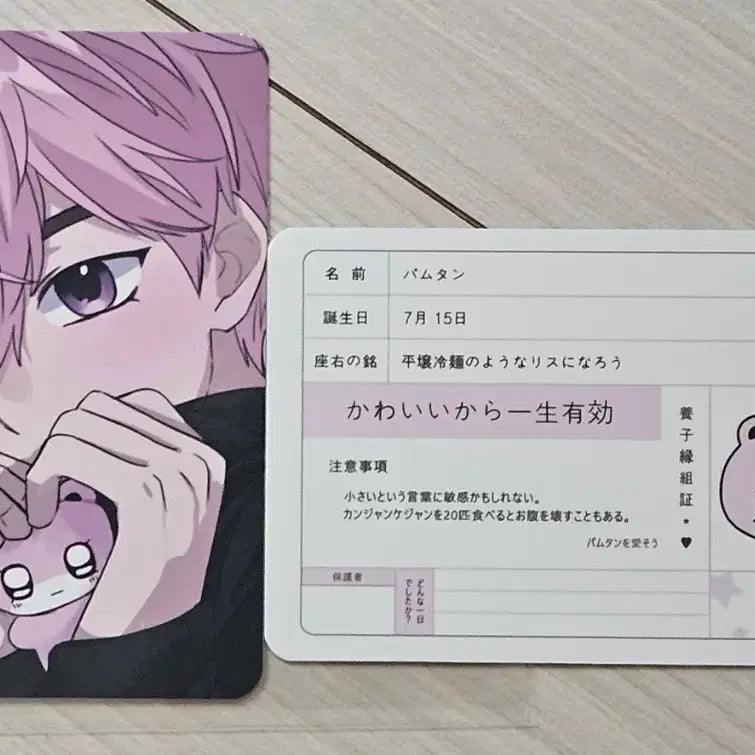 [BUNJANG] PLAVE PLVDDTANG Bambi Adoption Certificate Photocard / 플레이브 인형 플부땅 밤비 입양증 포카 양도