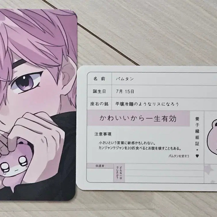 [BUNJANG] PLAVE PLVDDTANG Bambi Adoption Certificate Photocard / 플레이브 인형 플부땅 밤비 입양증 포카 양도
