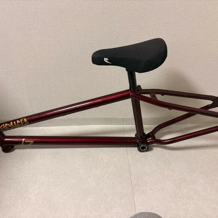 [SOLD OUT] 스트레인져 Lz bmx 프레임