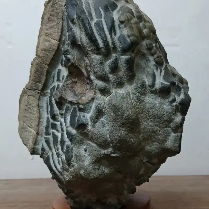 [SOLD OUT] 수석 자연수석 봉계구갑혹돌