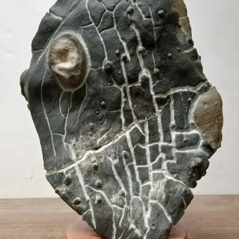 [SOLD OUT] 수석 자연수석 봉계구갑혹돌