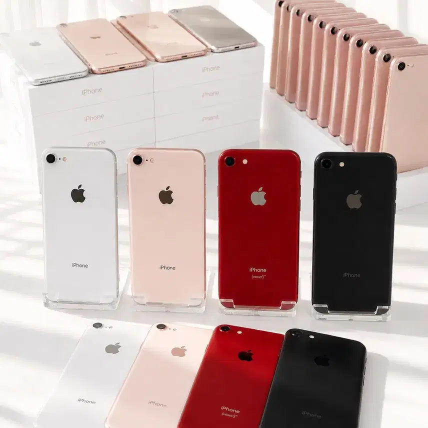 [BUNJANG] Apple iPhone 8 64GB - Silver, Gold, Red, Black / (당일방송) S급 아이폰8 64GB~256GB 실버 골드 레드 블랙