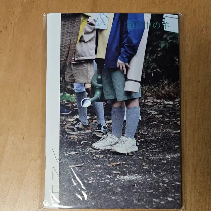 [BUNJANG] Box of Light: Art House Jin / 최저가)상자속의양 아트하우스 진
