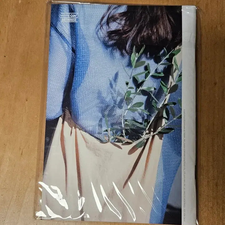 [BUNJANG] Box of Light: Art House Jin / 최저가)상자속의양 아트하우스 진
