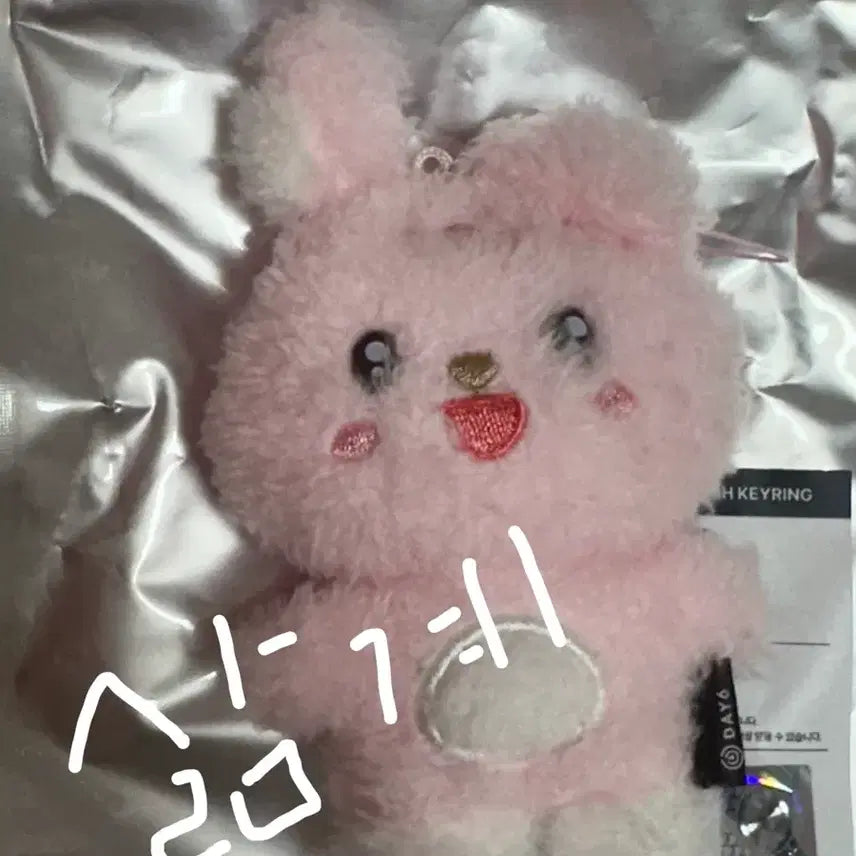 [BUNJANG] DAY6 Denimals Secret Mini Plush Keyring Wonpil / 데이식스 데니멀즈 시크릿 미니 플러시 키링 원필 인형