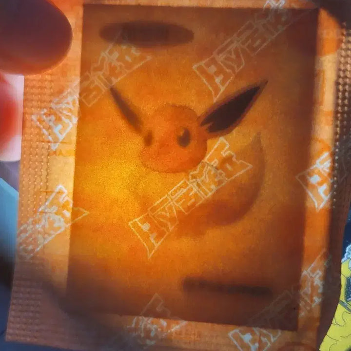 [BUNJANG] Pokemon Pikachu, Pidgeotto, Golem, Marowak, Bulbasaur 30th Anniversary Stickers / (가격내림)포켓몬 피카츄 지라치 도치마루 이상해씨 리자몽 띠부씰 이브이