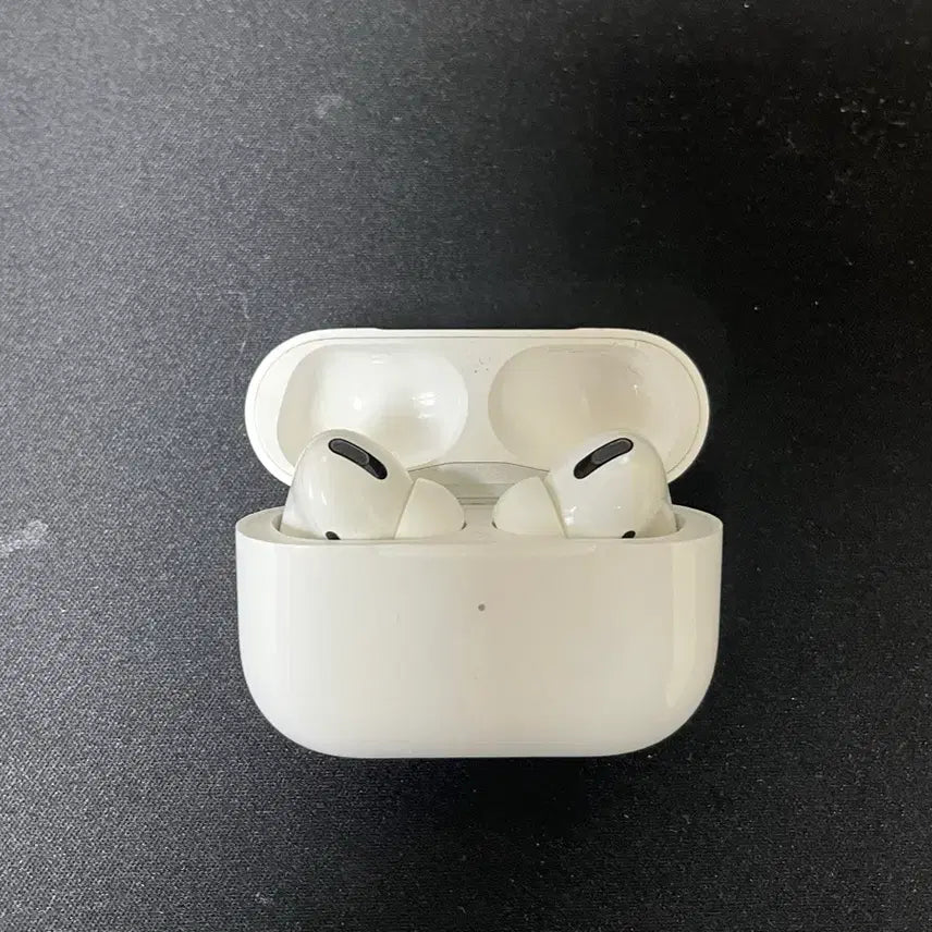 [BUNJANG] Apple AirPods Pro 1st Generation (Replacement Parts) / 에어팟 프로1 판매합니다