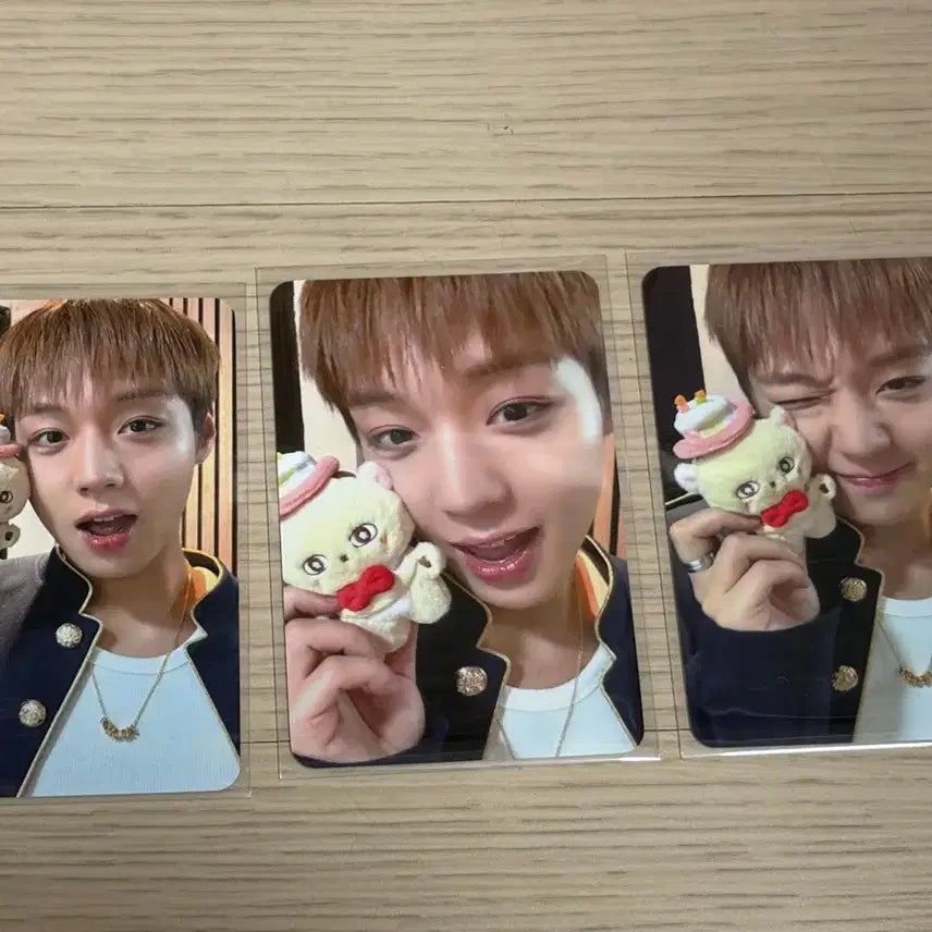 [BUNJANG] Park Jihoon Sosimi Popup Photocard Bundle Set / 박지훈 소심이 팝업 5만원 이상 포카 3종 일괄 판매