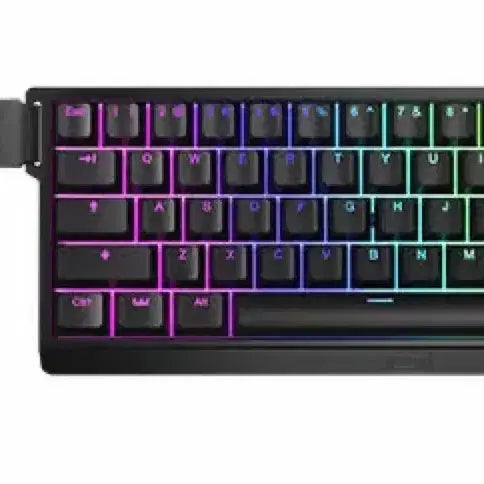 [BUNJANG] Wooting 60HE / Gummy Bear Switch Keyboard / 지슈스,우팅 구합다