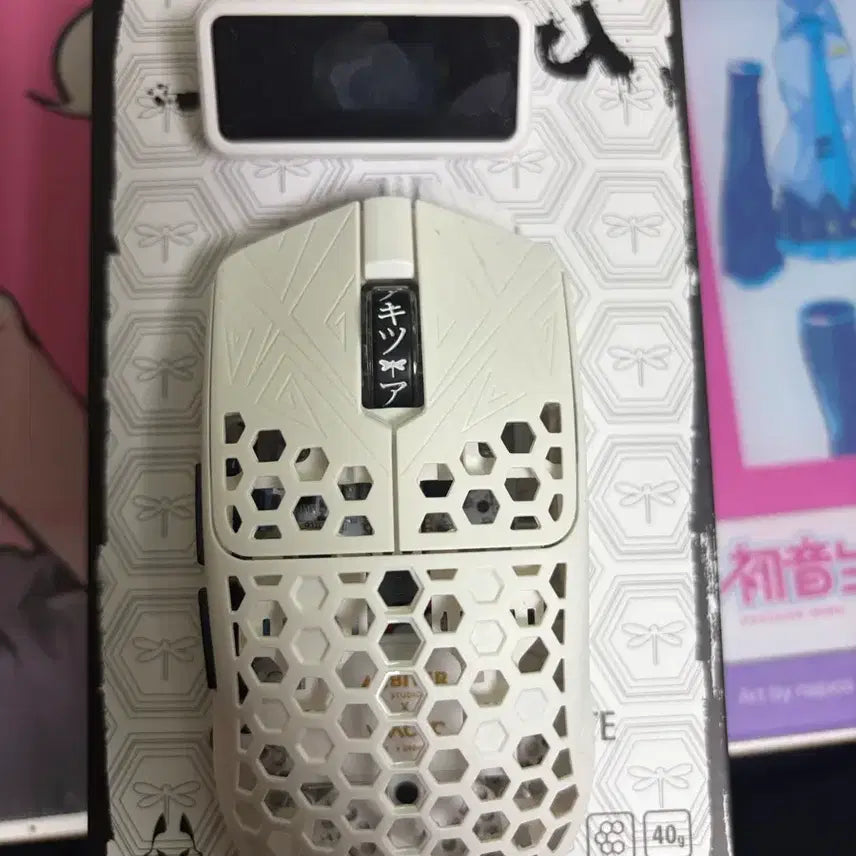 [BUNJANG] Akiz Medium White Mouse / 아키츠 미디엄 화이트