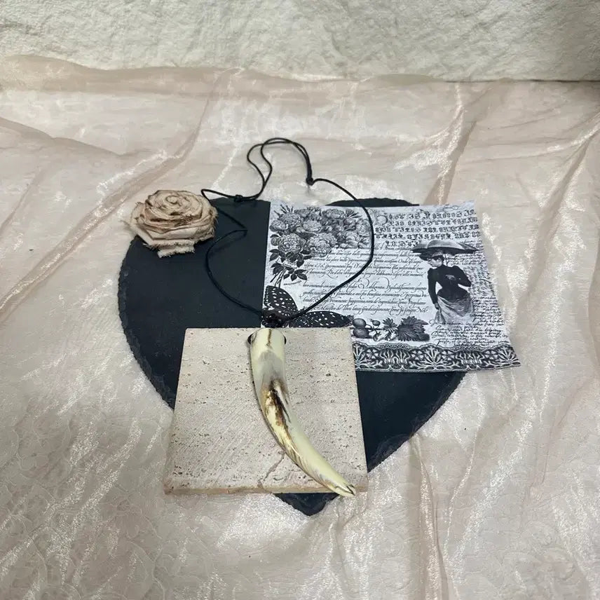 [BUNJANG] Vintage Acrylic Adjustable Necklace / 빈티지 아크릴 치아 조절 목걸이